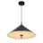 D'Lite Suspension Luminaire Crochte Métal Et Plastique Dépolie Noir | Convient Pour 3x E27